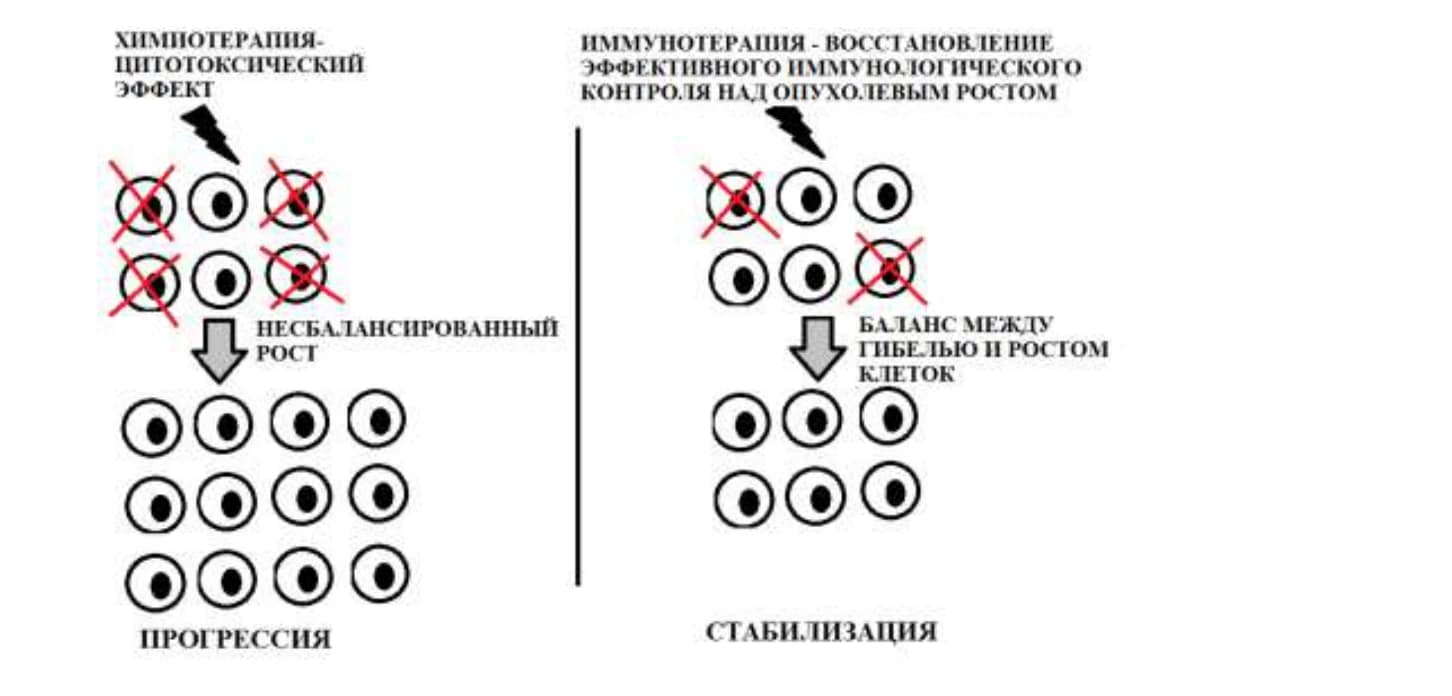 Схема эффектов химиотерапии и иммунотерапии на опухолевый рост